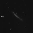 ngc 3079neg